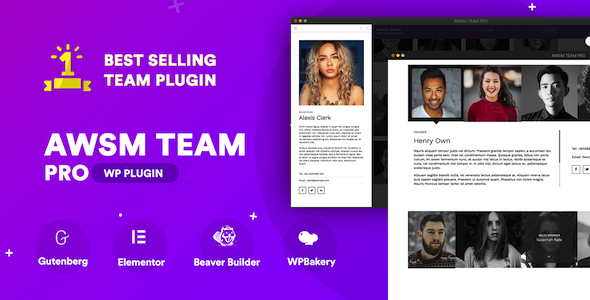 The Team Pro - Team Showcase WordPress Plugin