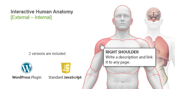 Interactive Human Anatomy - WordPress Plugin