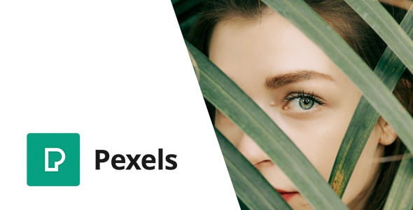 Pexels - Import Free Stock Images into WordPress