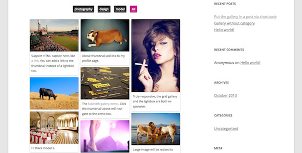 Responsive Pinterest Grid Gallery WordPress Plugin