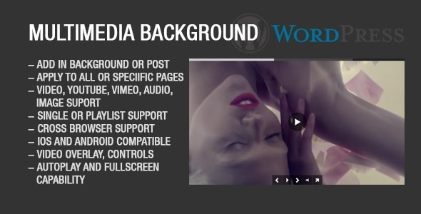 Image Video Audio Background for Wordpress