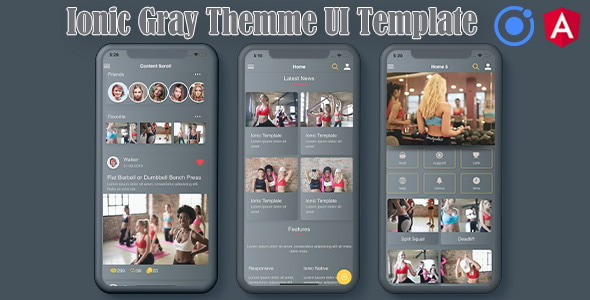 Ionic 5 / Angular 8 Gray UI Theme / Template App | Starter App